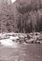 Саня страхует